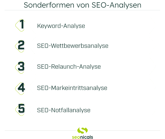 Grafik zu den Sonderformen von SEO-Analysen