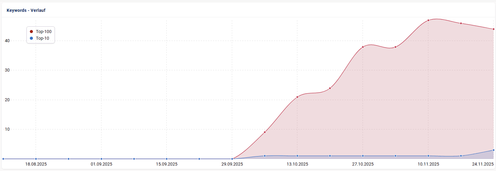 Keyword-Verlauf Top-100 / Top-10