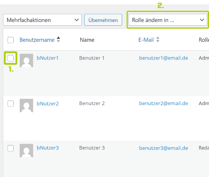 Screenshot der Benutzer-Anzeige im Worpress
